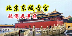 操逼逼赖中国北京-东城古宫旅游风景区